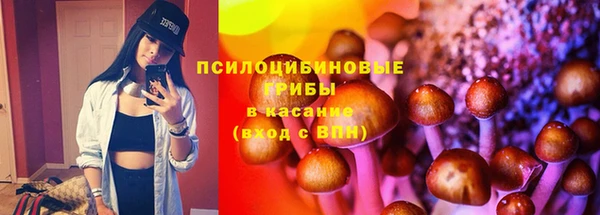 твердый Белокуриха
