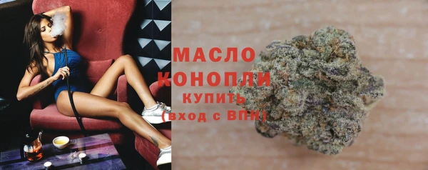 гидра Богданович