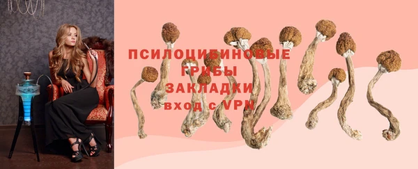 твердый Белокуриха