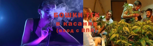 PSILOCYBIN Богородск