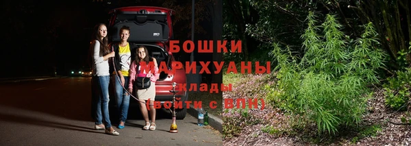 твердый Белокуриха