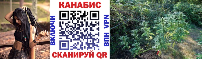 Бошки Шишки индика Минусинск